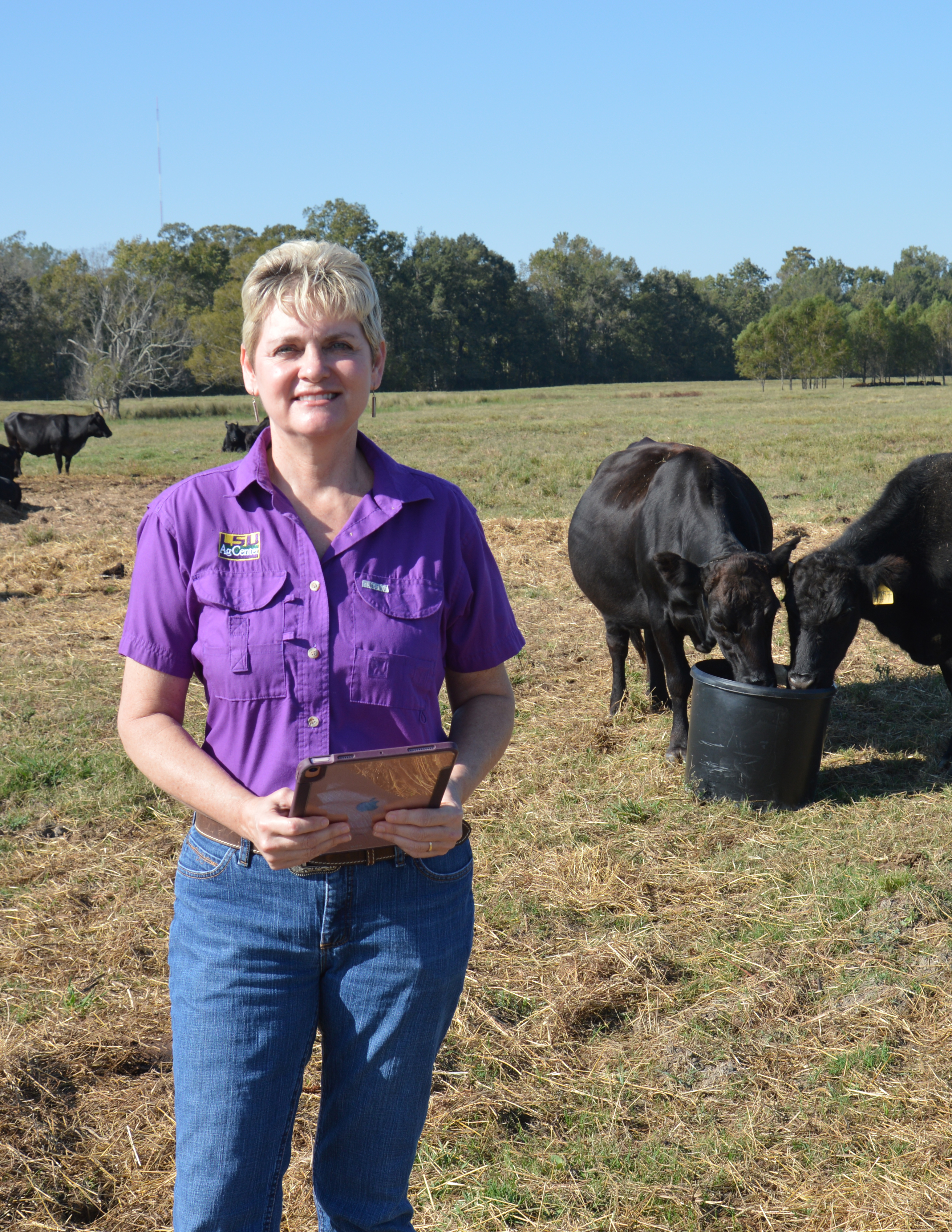 AgCenter faculty member named state veterinarian of the year